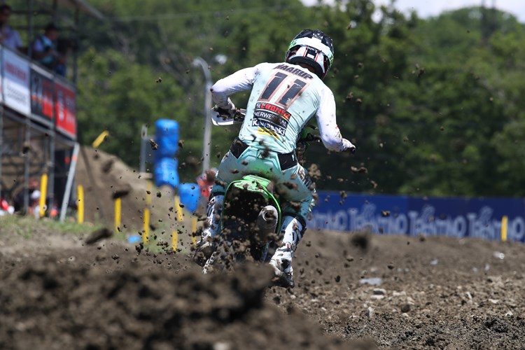 Mikkel Haarup